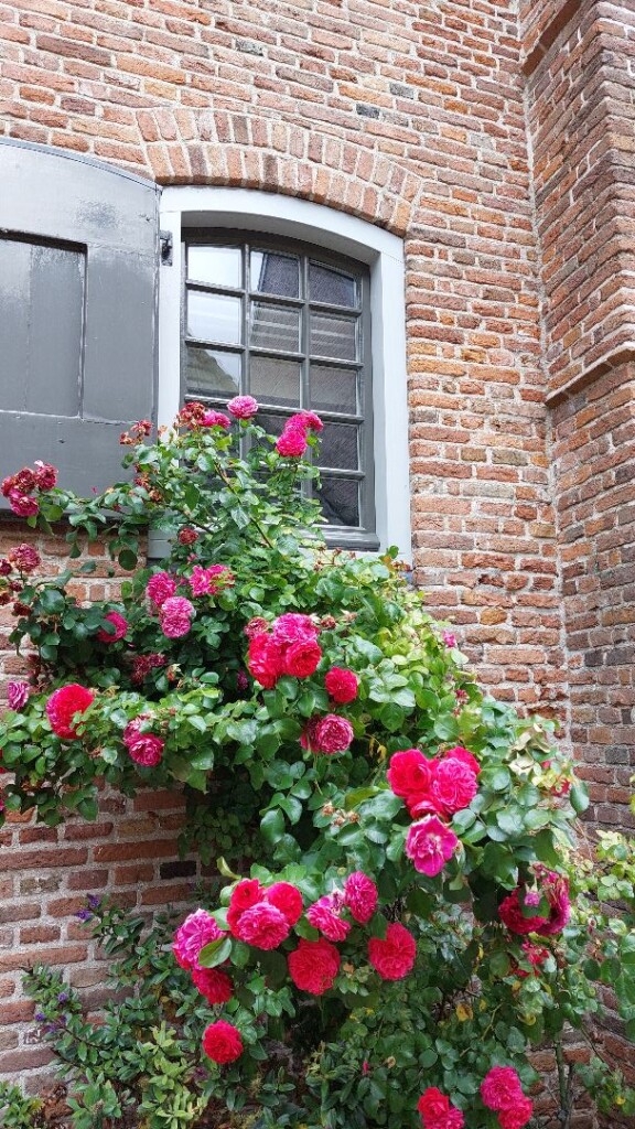 Ermelo - Harderwijk · Zuiderzeepad etappe 12