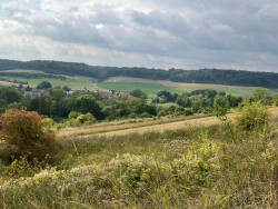 Schin op Geul & Bolkenberg Va17