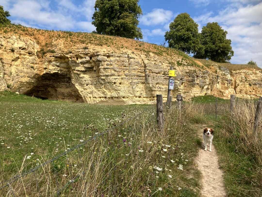 Schin op Geul & Bolkenberg Va17