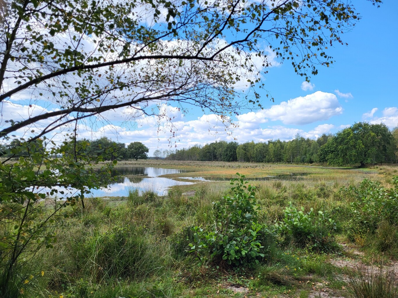 Wandelen door het vennenlandschap van Huis ter Heide