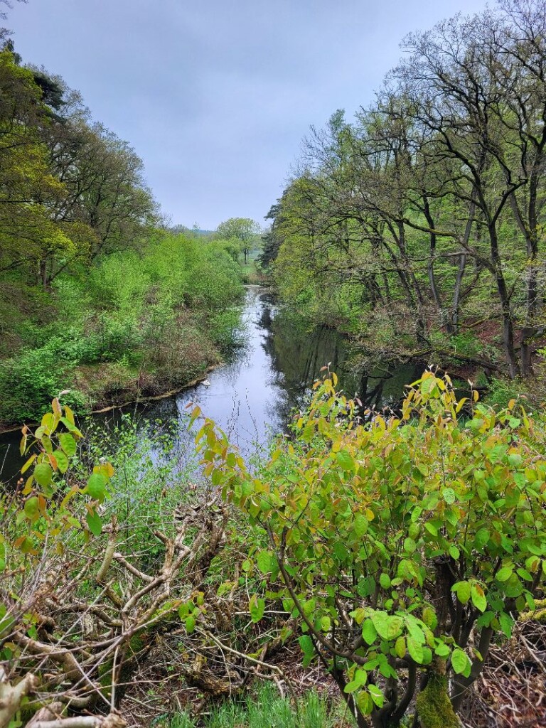Kasteel Eerde - N340 · Overijssels Havezatenpad etappe 9