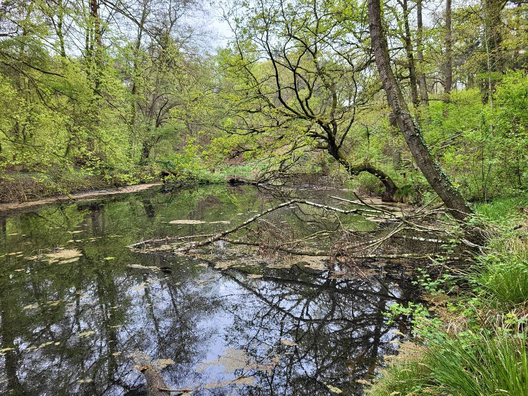 Kasteel Eerde - N340 · Overijssels Havezatenpad etappe 9