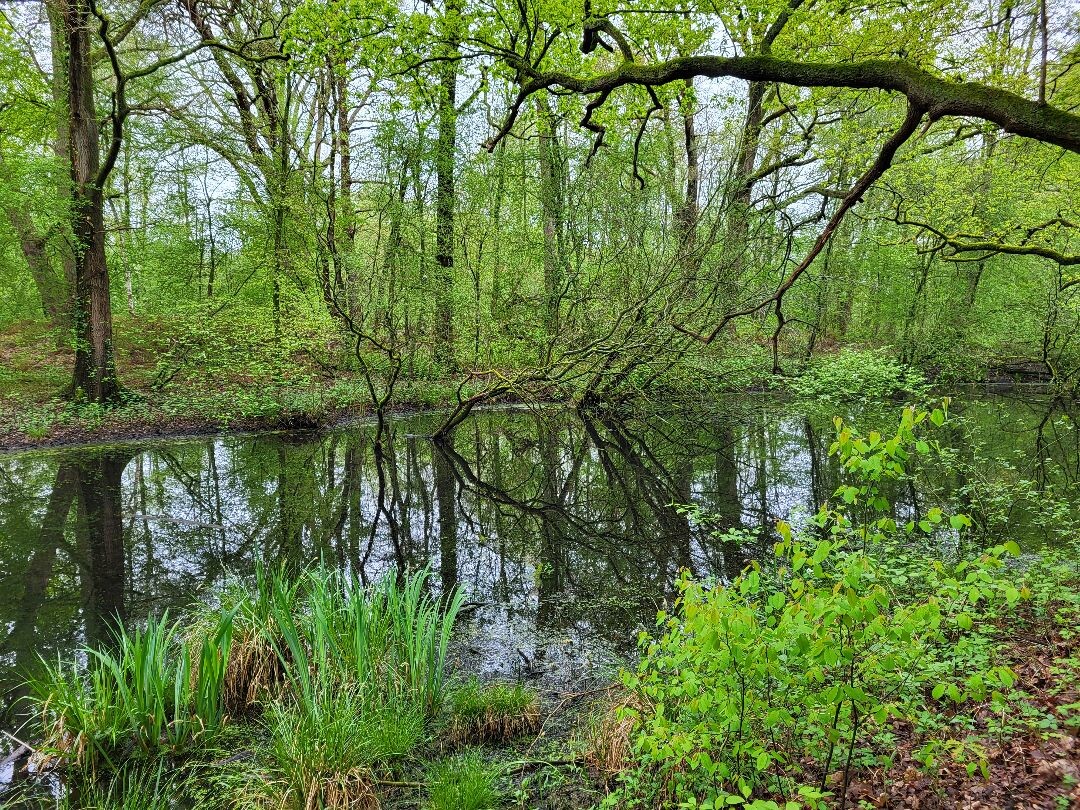 Kasteel Eerde - N340 · Overijssels Havezatenpad etappe 9