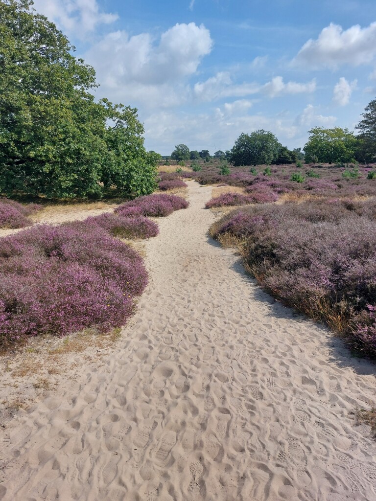 Meulendob Wandelroute 20 km D1