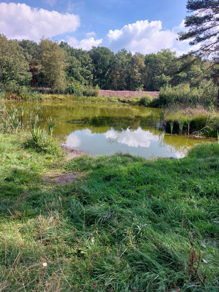 Meulendob Wandelroute 20 km D1