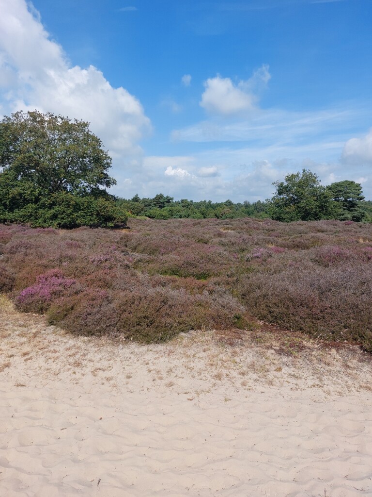 Meulendob Wandelroute 15 km C 1
