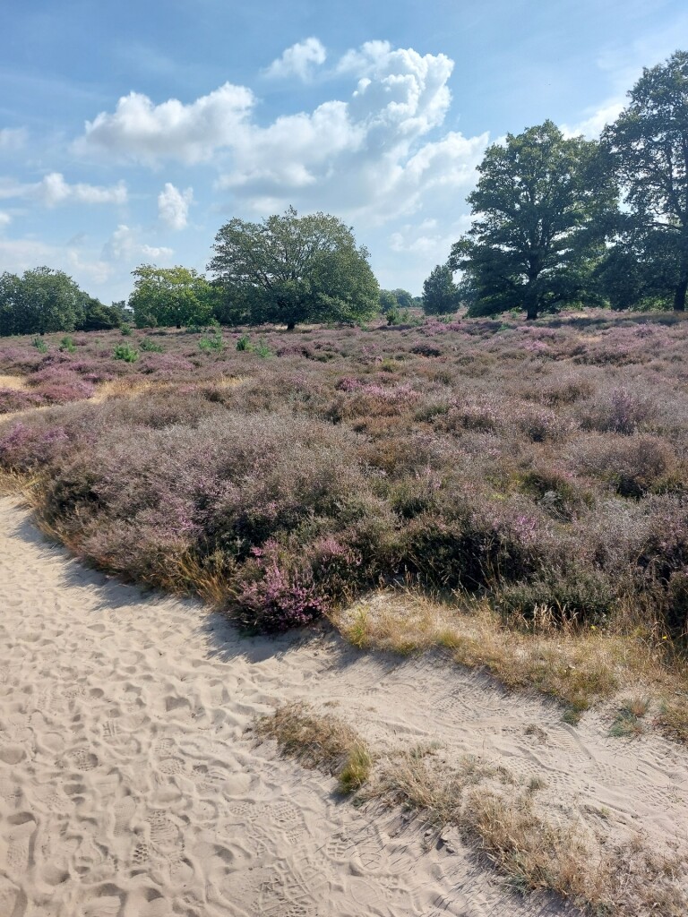 Meulendob Wandelroute 15 km C 1