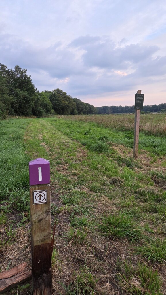 Gasselte - De Branden