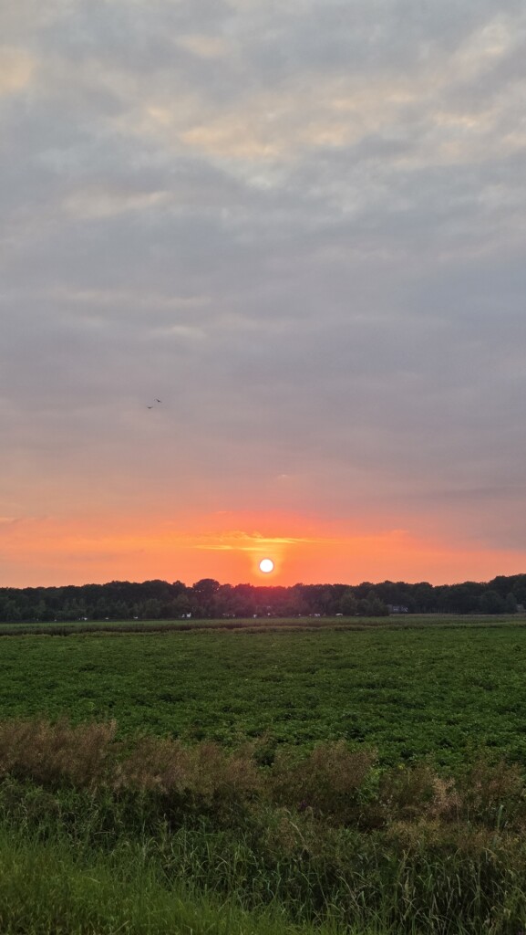 Gasselte - De Branden