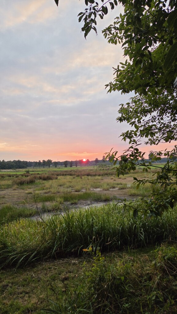 Gasselte - De Branden
