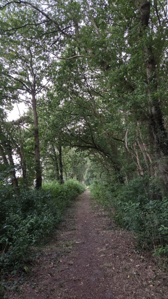 Gasselte - De Branden