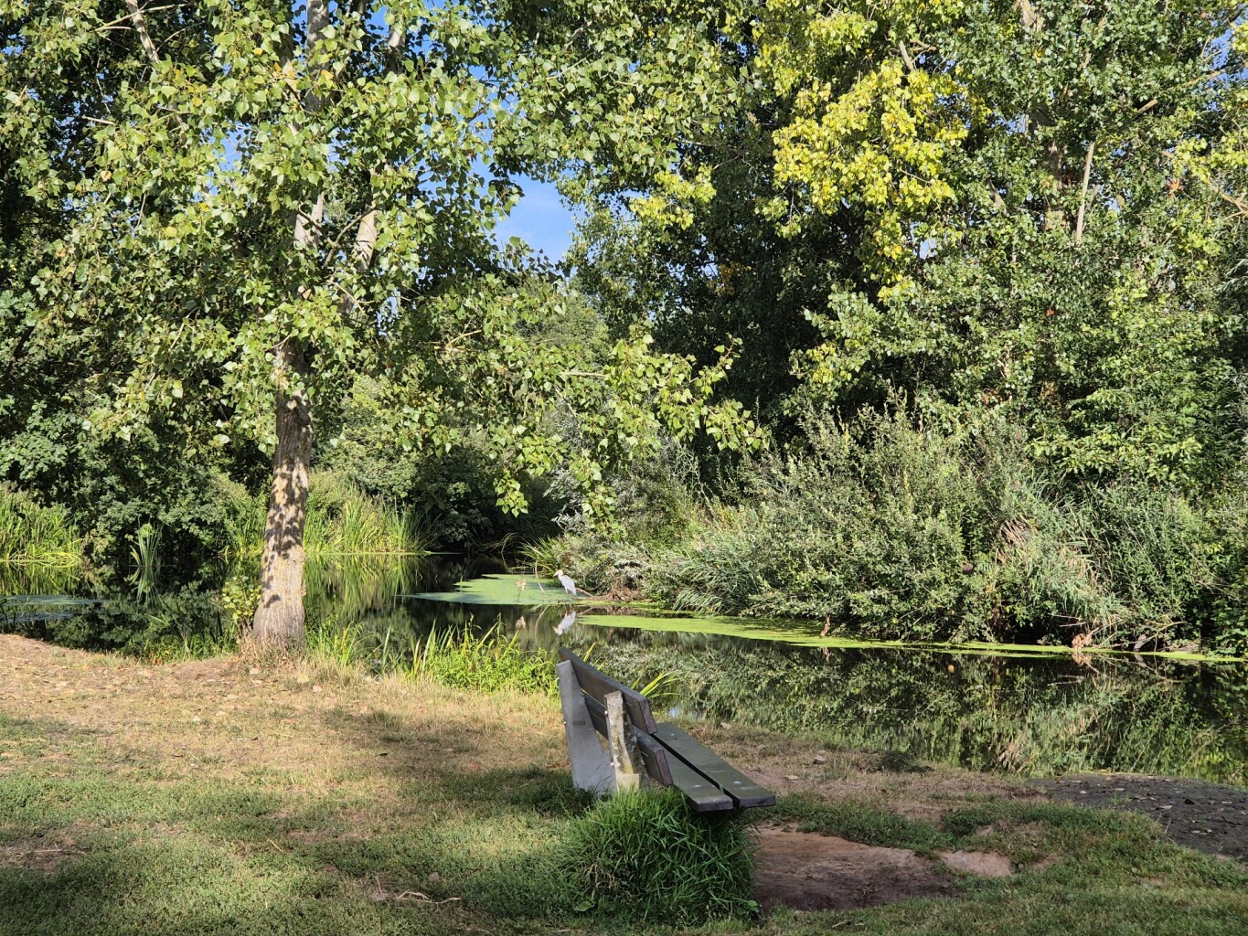 Eindhoven - Sint-Oedenrode · Dommelpad etappe 4