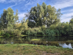 Eindhoven - Sint-Oedenrode · Dommelpad etappe 4