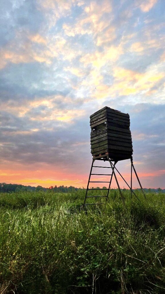 Gasselte - De Branden