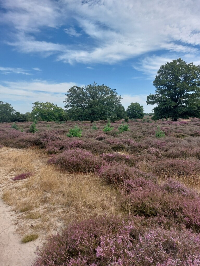 Meulendob Wandeltocht 10 km B1