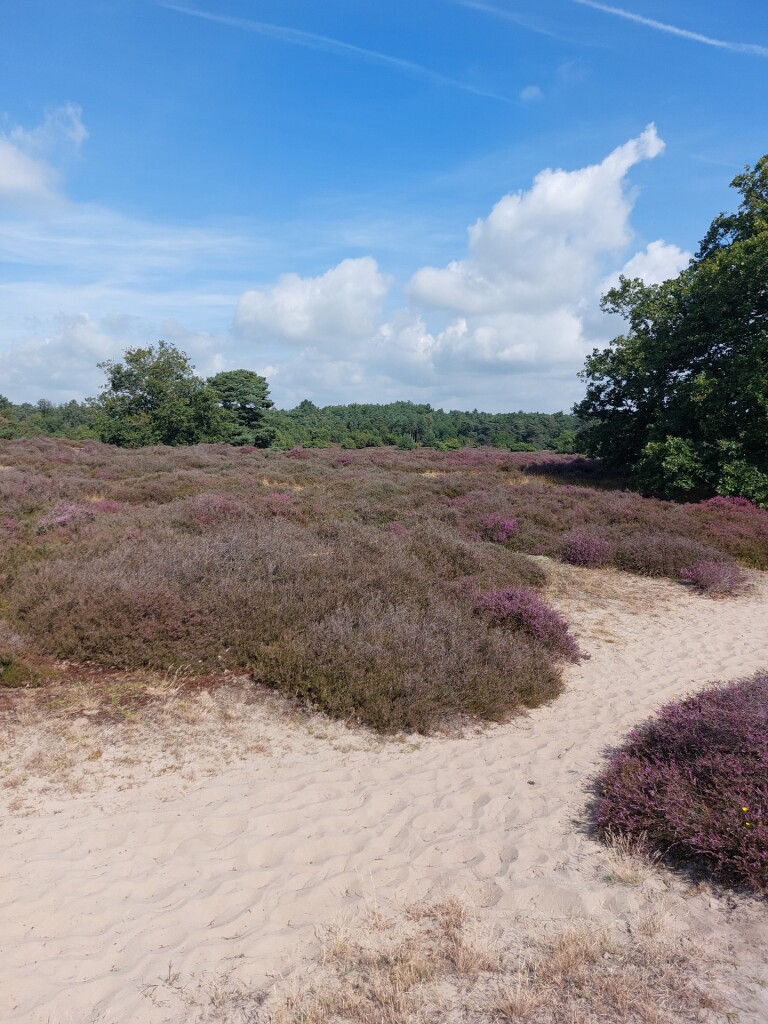 Meulendob Wandeltocht 10 km B1