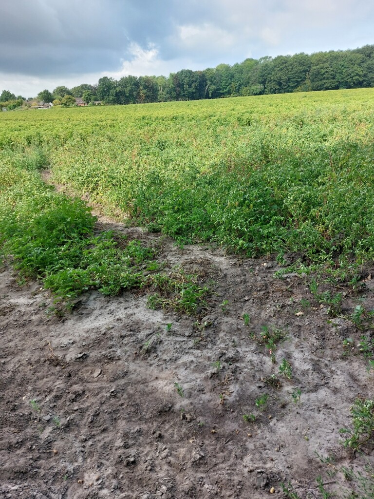 Meulendob Wandeltocht 10 km B1