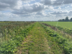 Annen - Veendam · Groot Frieslandpad etappe 18