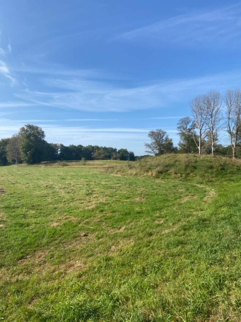 Annen - Veendam · Groot Frieslandpad etappe 18