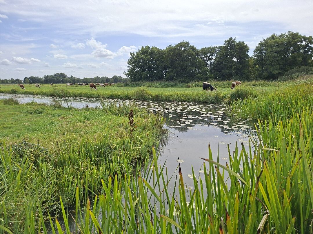 Kortenhoef - Nieuwer ter Aa · Floris V-pad etappe 3