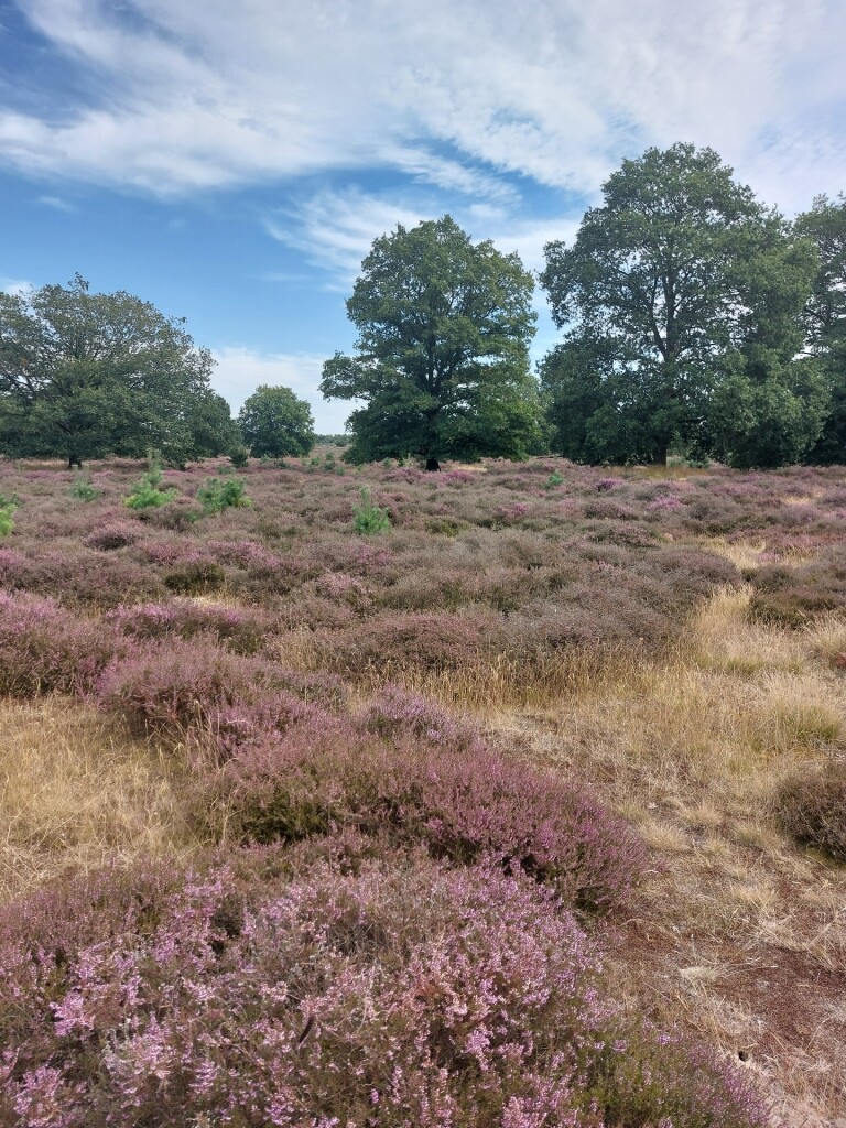 Meulendob Wandelroute A 1