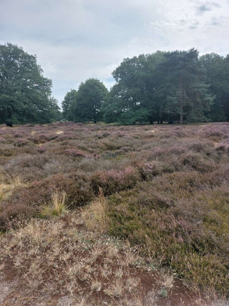 Meulendob Wandelroute A 1