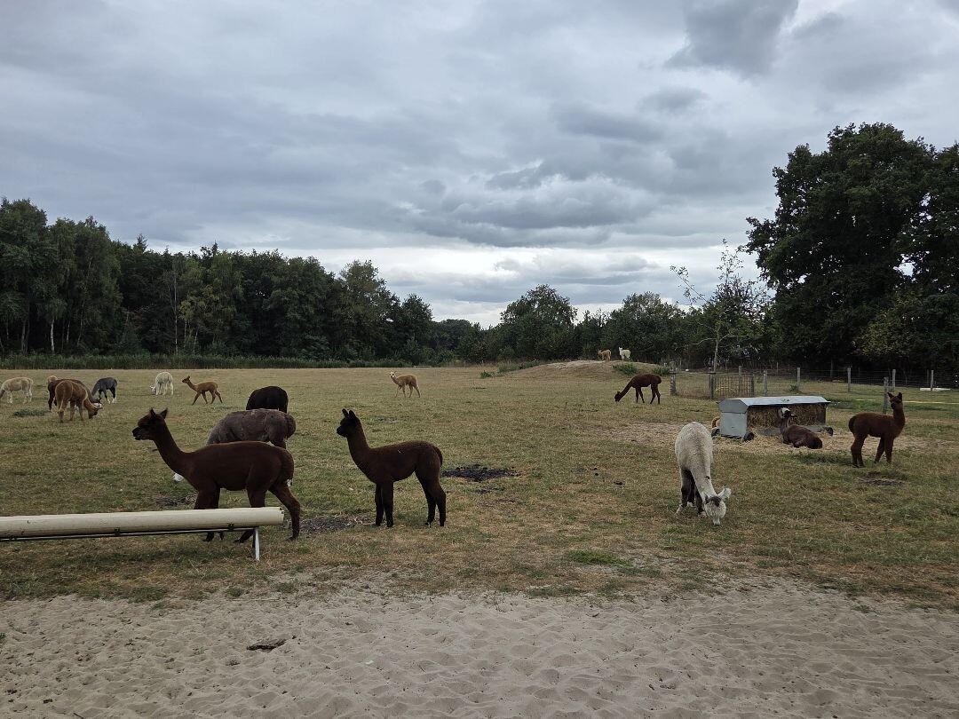 Brummen - Vorden · Trekvogelpad etappe 20