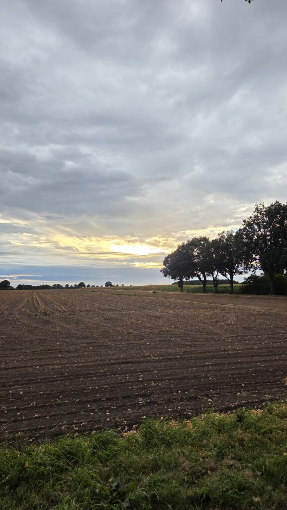 Oosterveld · Klaverblad Sleen etappe 3