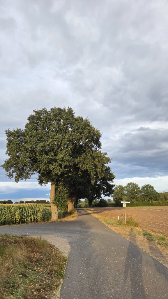 Oosterveld · Klaverblad Sleen etappe 3