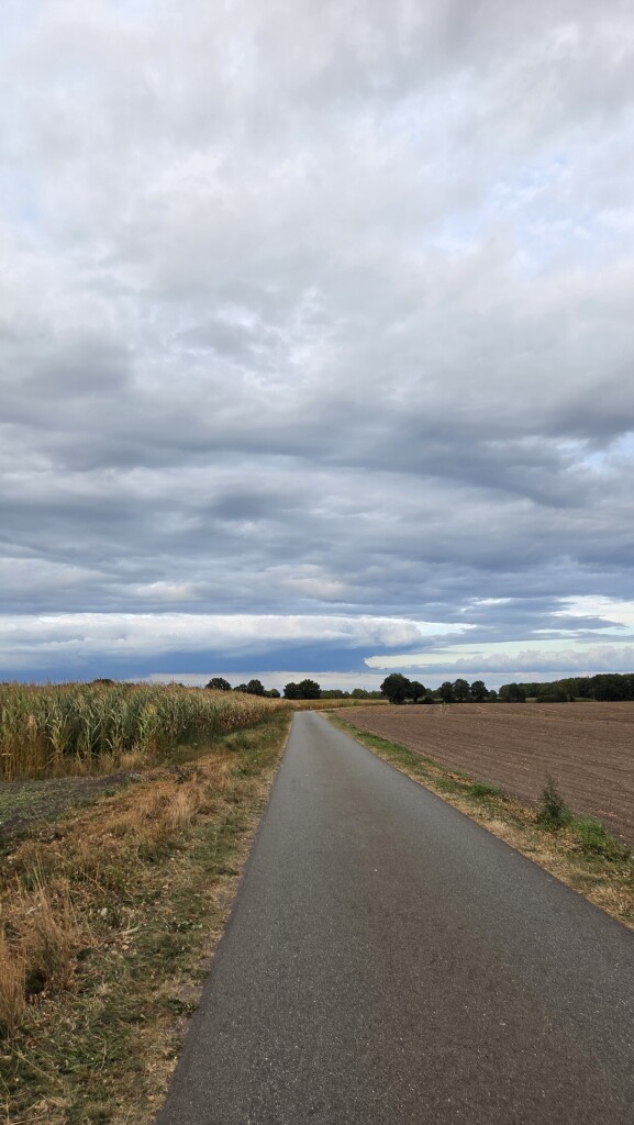 Oosterveld · Klaverblad Sleen etappe 3