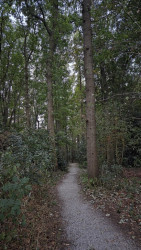 Oosterveld · Klaverblad Sleen etappe 3