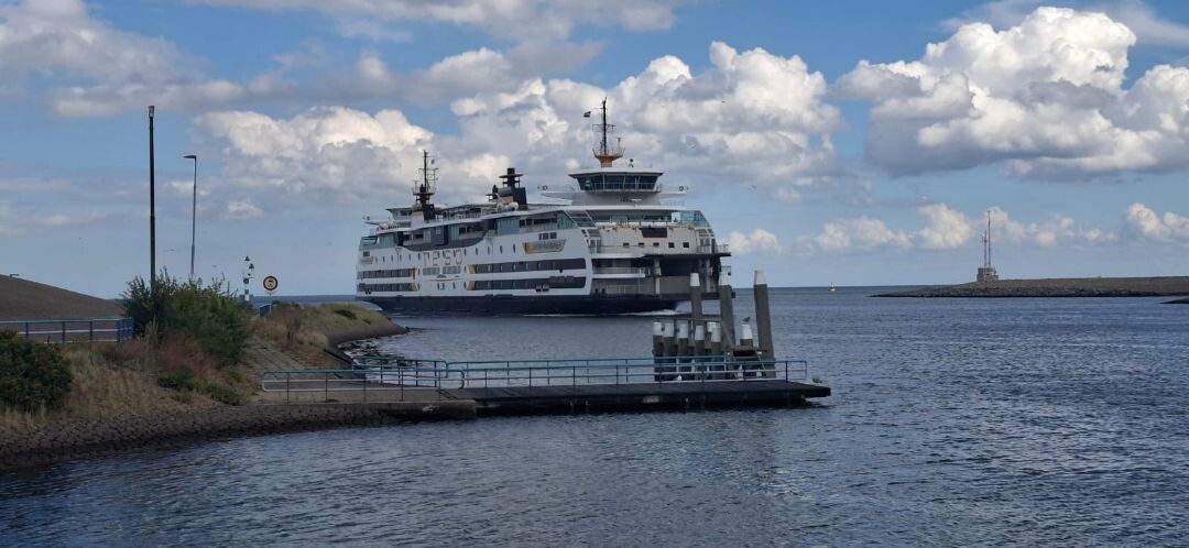 Texel 4: Oudeschild - 't Horntje · WaddenWandelen etappe 4