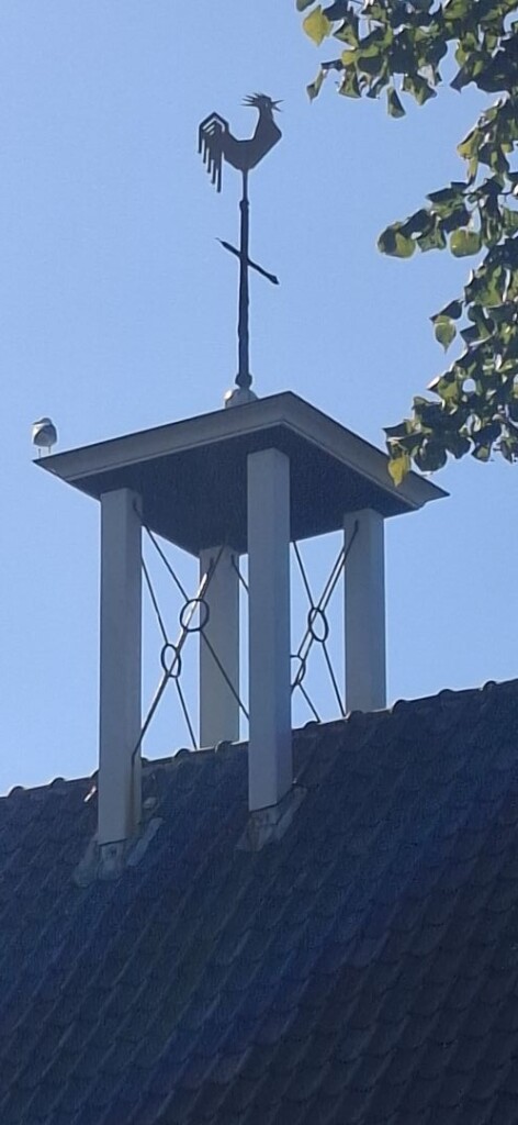 Texel 4: Oudeschild - 't Horntje · WaddenWandelen etappe 4