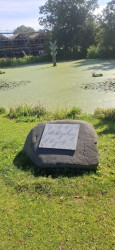 Texel 4: Oudeschild - 't Horntje · WaddenWandelen etappe 4