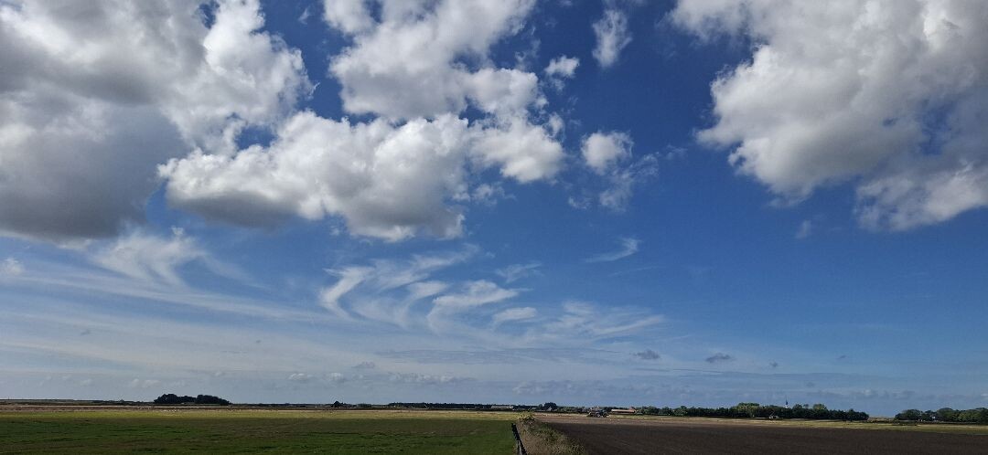 Texel 4: Oudeschild - 't Horntje · WaddenWandelen etappe 4