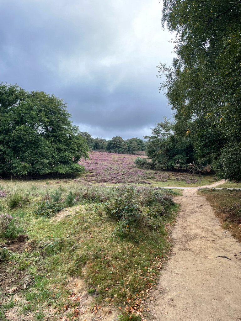 NS wandelroute Dieren-Velp