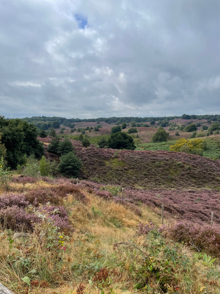 NS wandelroute Dieren-Velp