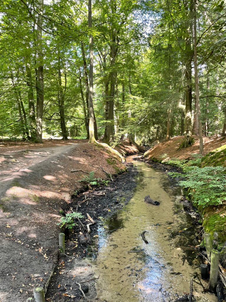 NS wandelroute Dieren-Velp