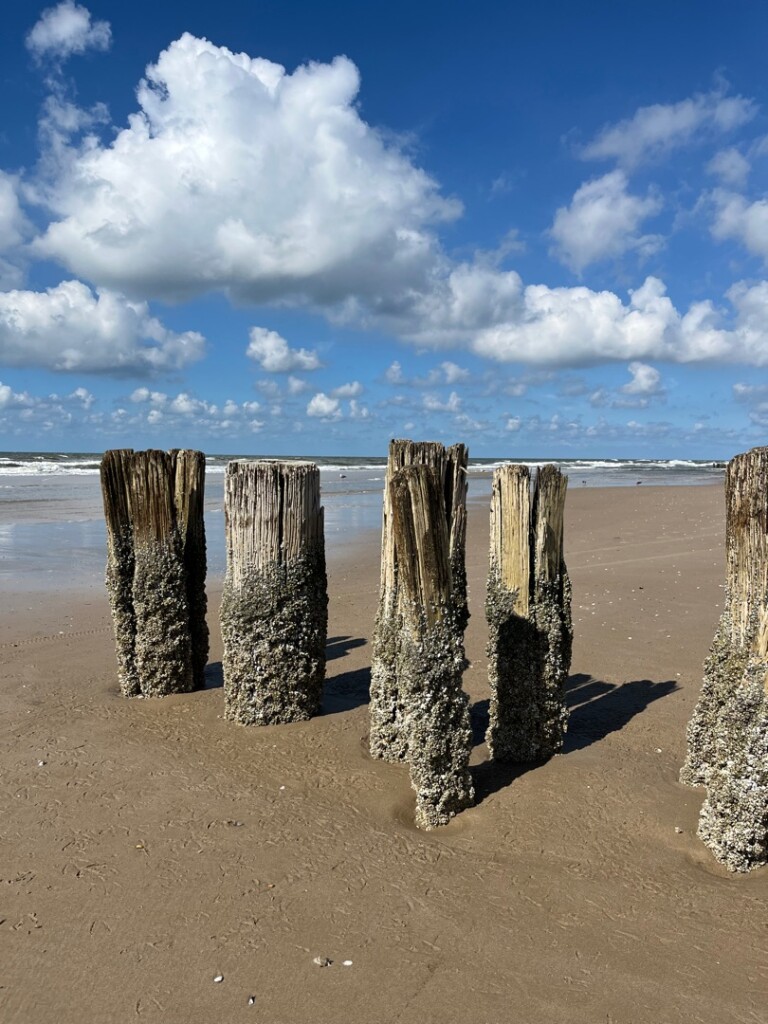 Bergen aan Zee - Schoorl · Groot Frieslandpad etappe 1