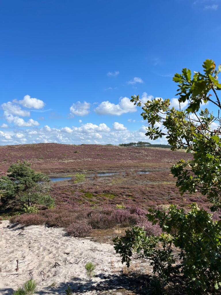 Bergen aan Zee - Schoorl · Groot Frieslandpad etappe 1