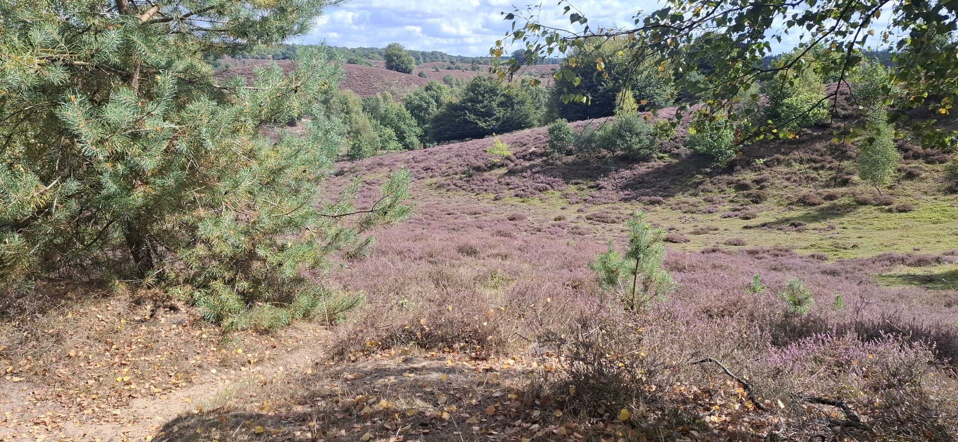 Pittige tocht bij de Posbank