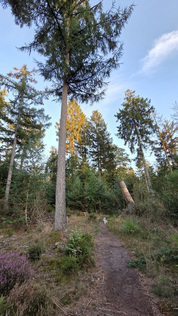 Natteneuzenroute Nije Hemelriek