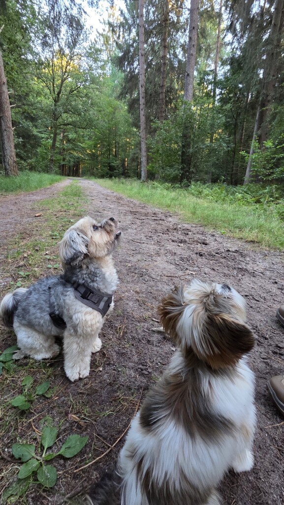 Natteneuzenroute Nije Hemelriek