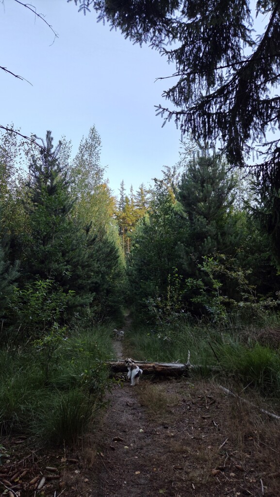 Natteneuzenroute Nije Hemelriek