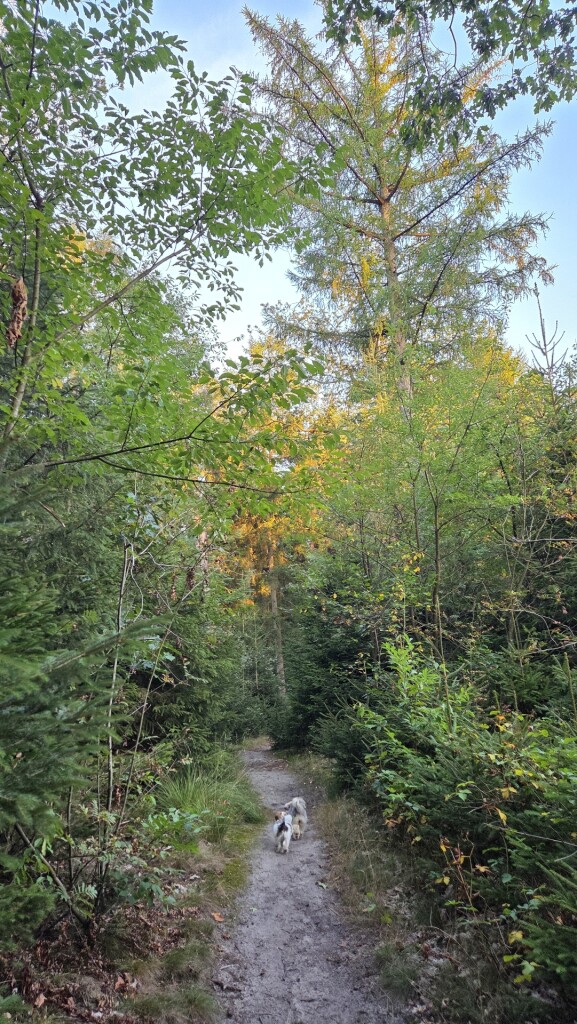 Natteneuzenroute Nije Hemelriek