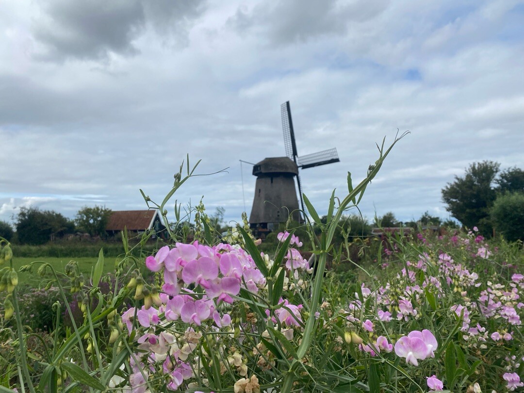 Alkmaar - Graft · Trekvogelpad etappe 2