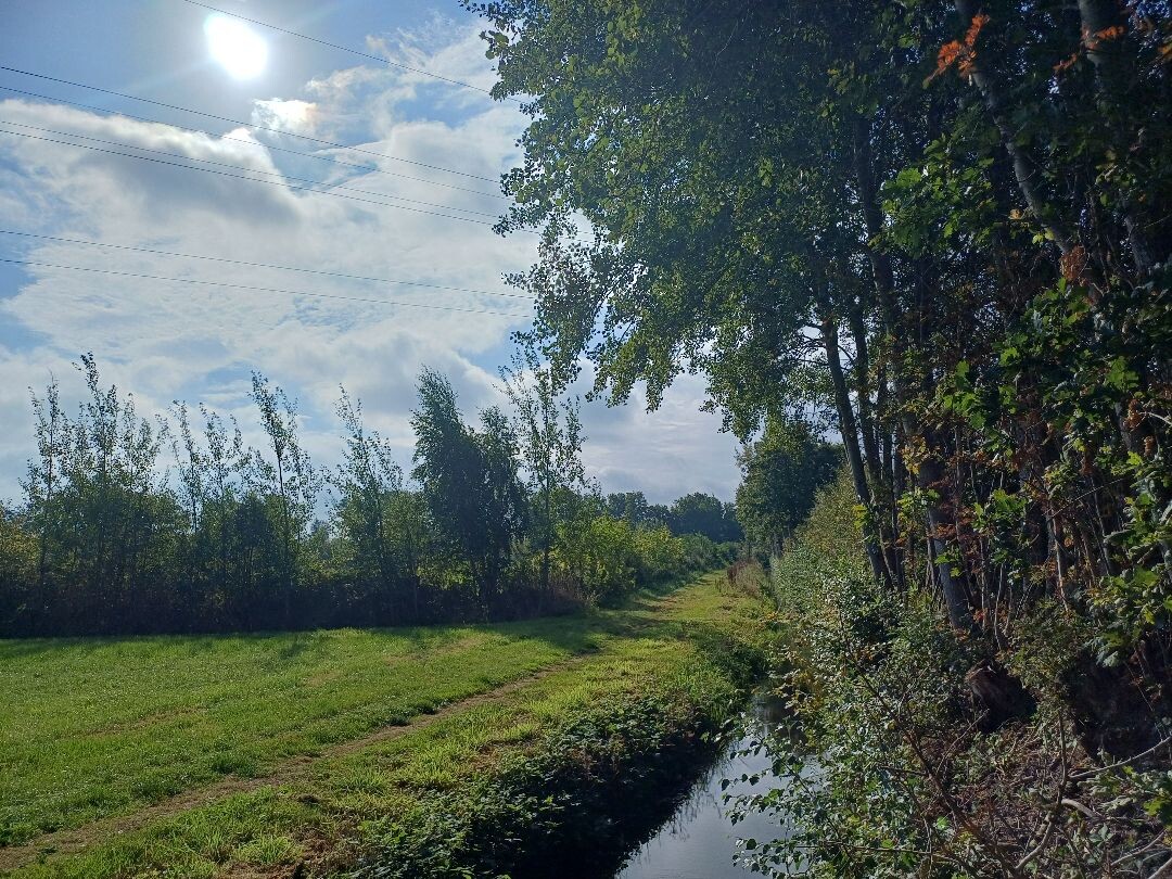 Noardlike Fryske Wâlden