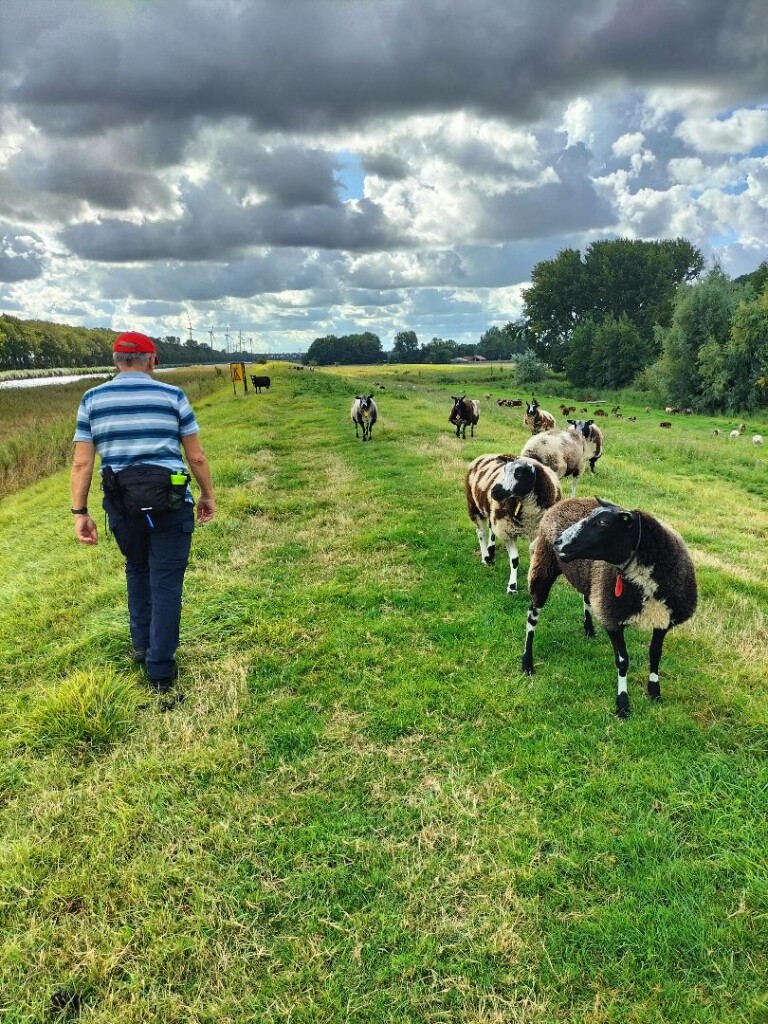 Wieringerwaard - Kolhorn · Noord-Hollandpad etappe 5