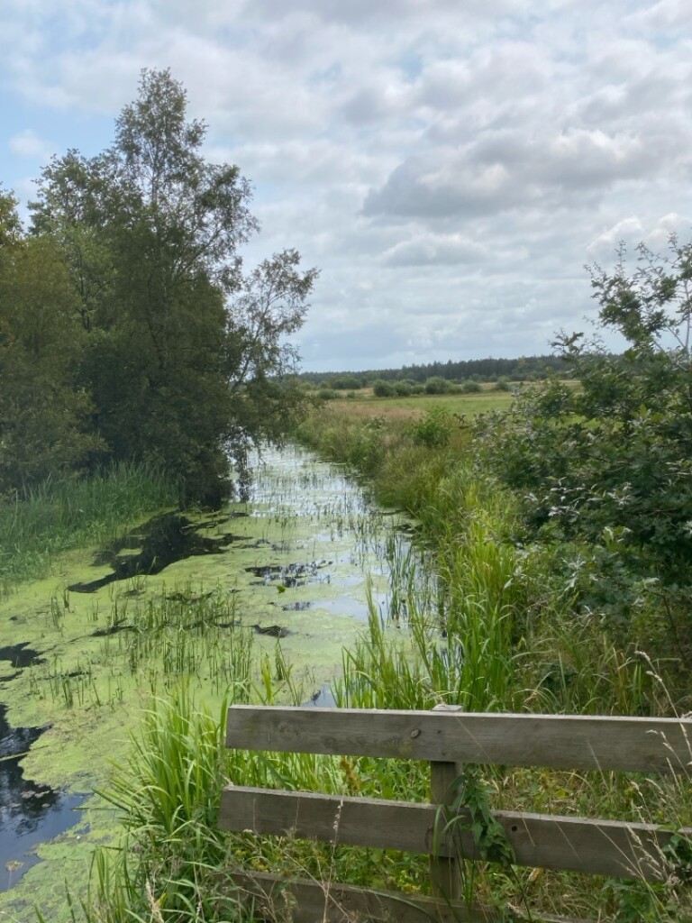 Beetsterzwaag - Waskemeer · Groot Frieslandpad etappe 14