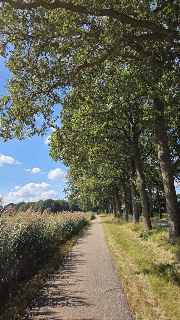 Emmen - Oosterhesselen · Drenthepad etappe 15